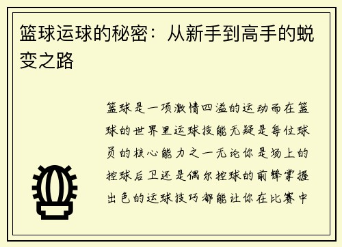 篮球运球的秘密：从新手到高手的蜕变之路